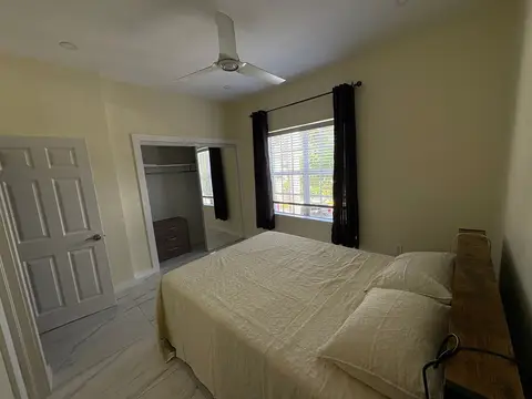 Professional housemate wanted.