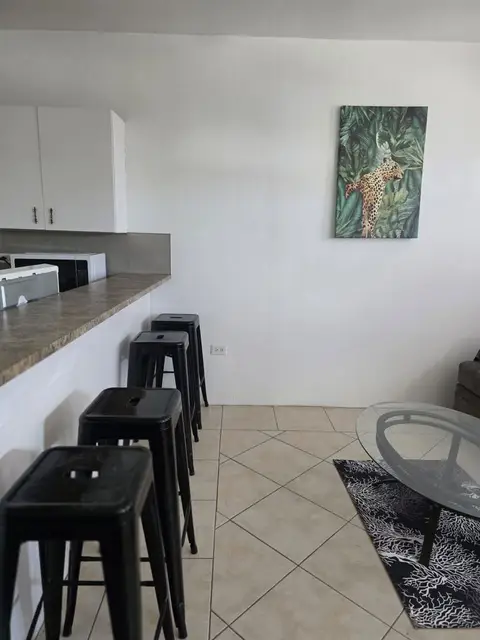 Apartment for rent in Georgetown area