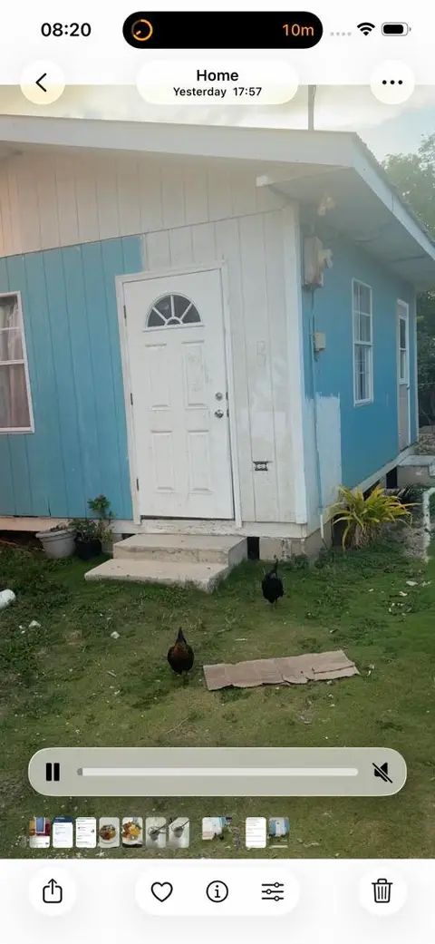Looking for roommate