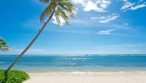 CENTURY 21 | CARIBBEAN PARADISE 2