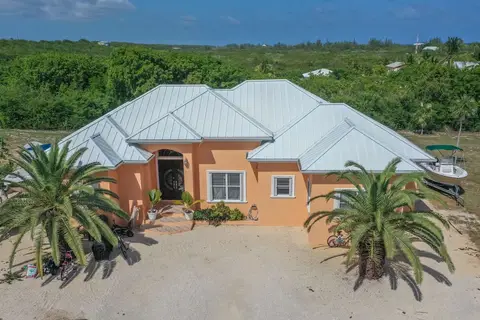 PARADISE PALMS
