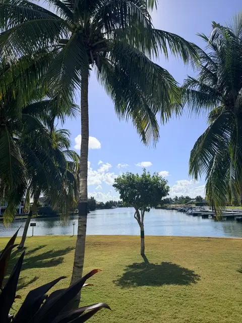 🌴 Summer Escape in Grand Cayman – 1 Bed Canal-View Condo with Pool 🌊